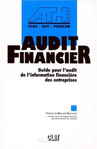 Cover for Guide pour l'audit de l'information financière des entreprises