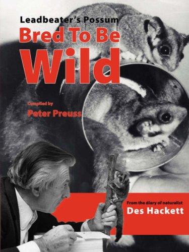 Cover for Leadbetter's Possum