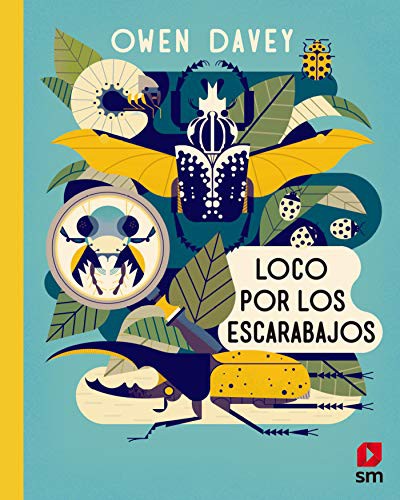 Cover for Loco por los escarabajos