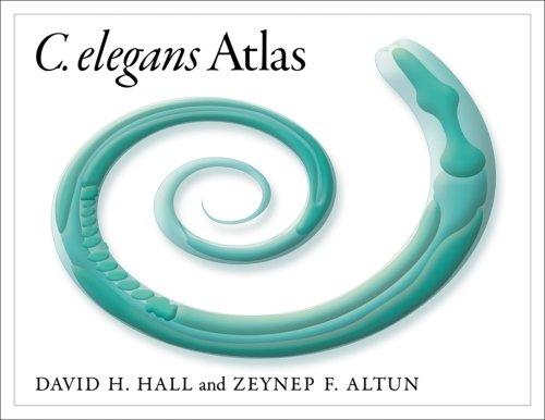 Cover for C. Elegans Atlas