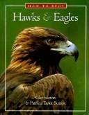 Cover for How to spot hawks & eagles