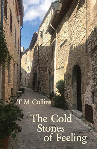 Cover for The Cold Stones of Feeling