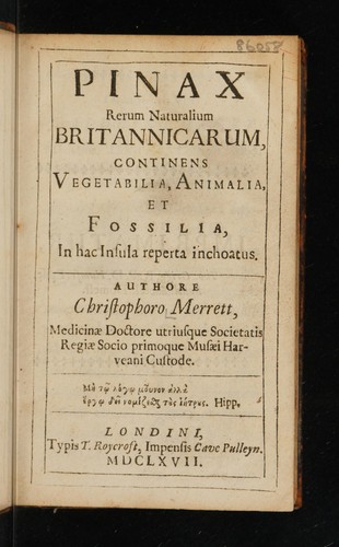 Cover for Pinax rerum naturalium Britannicarum, continens vegetabilia, animalia, et fossilia, in hac insula reperta inchoatus