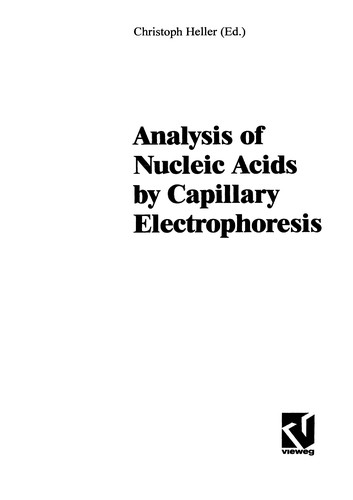 Cover for Analysis of Nucleic Acids by Capillary Electrophoresis (Chromatographia CE)