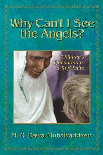 Cover for Why Can't I See the Angels?