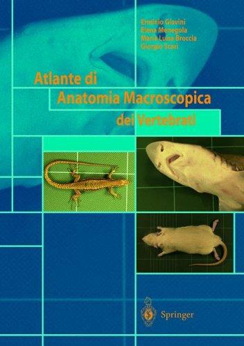 Cover for Atlante di Anatomia Macroscopica dei Vertebrati