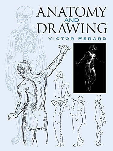 Cover for Anatomy and drawing