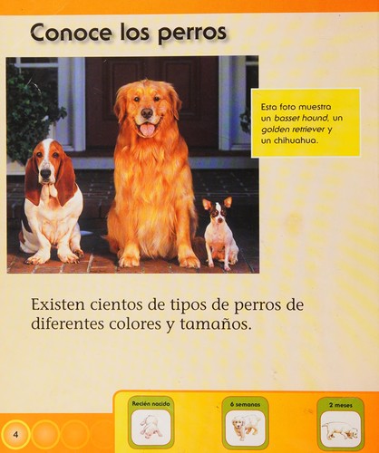 Cover for El perro