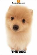 Cover for Pomeranian