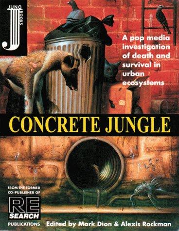 Cover for Concrete jungle
