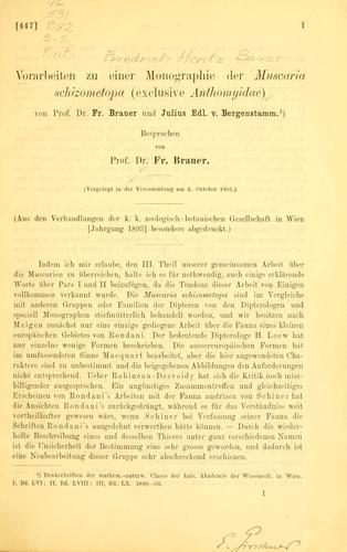 Cover for Vorarbeiten zu einer Monographie der Muscaria schizometopa (exclusive Anthomyidae)