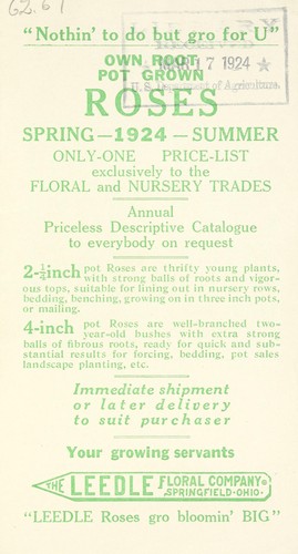 Cover for Own root pot grown roses