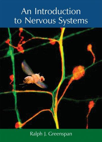 Cover for An Introduction to Nervous Systems