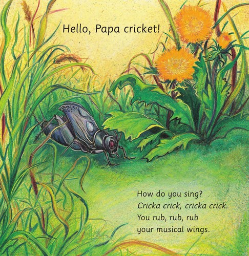 Cover for Singing crickets