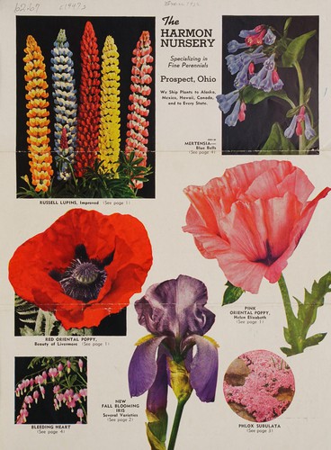 Cover for Harmon's Nursery, specializing in fine perennials