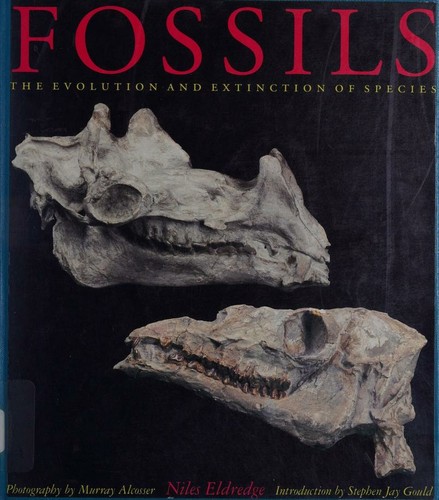 Cover for Fossils