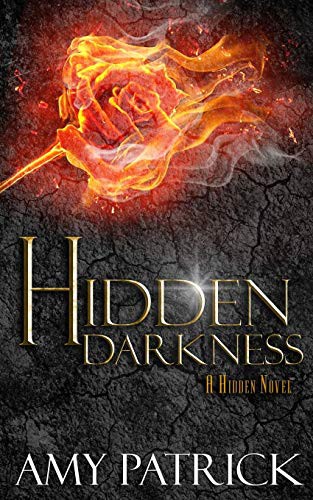 Cover for Hidden Darkness, Book 4 of the Hidden Saga