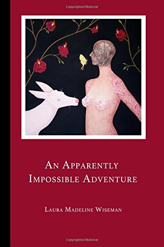 Cover for An Apparently Impossible Adventure