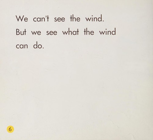 Cover for See the wind blow!