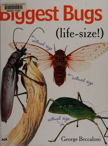 Cover for Biggest bugs life-size