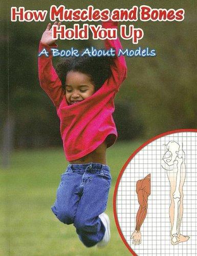 Cover for How Muscles and Bones Hold You Up