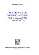 Cover for En busca de un gobierno alterno