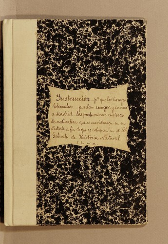 Cover for Instruccion hecha de órden del Rei N.S. para que los virreyes