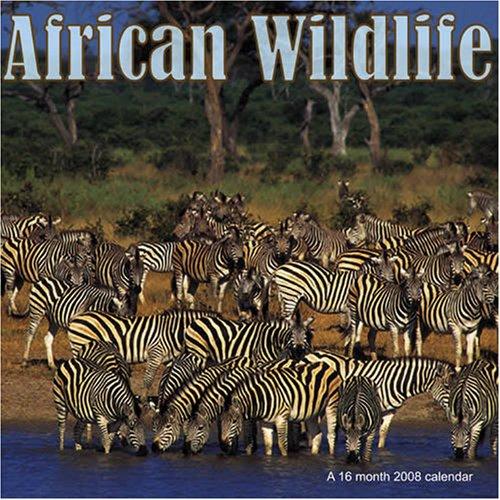 Cover for African Wildlife 2008 Wall Calendar