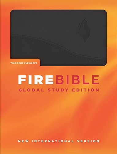 Cover for Fire Bible-NIV-Global Study