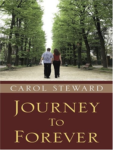 Cover for Journey to forever