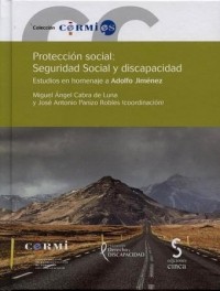 Cover for Protección social : Seguridad Social y discapacidad : estudios en homenaje a Adolfo Jiménez