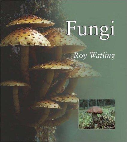 Cover for FUNGI