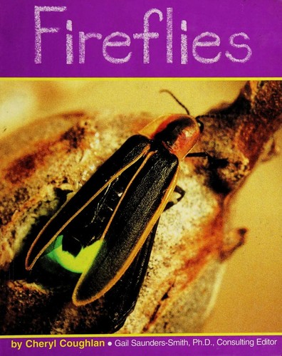 Cover for Fireflies