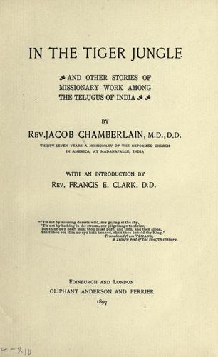 Cover for In the tiger jungle