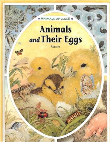 Cover for Animals and Their Eggs (Animals Up Close)
