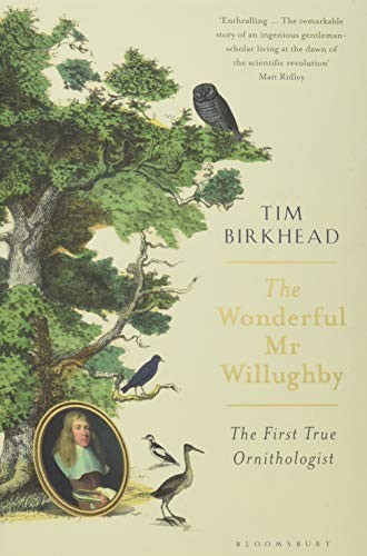 Cover for The Wonderful Mr Willughby