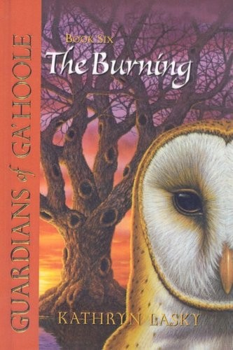 Cover for The Burning