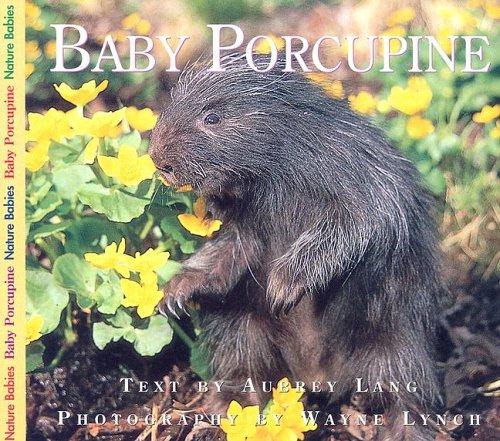 Cover for Baby Porcupine (Nature Babies)