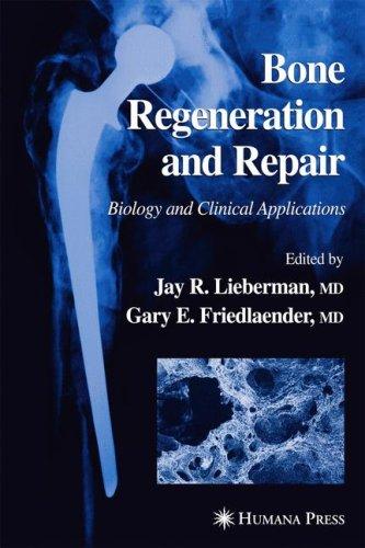 Cover for Bone Regeneration and Repair