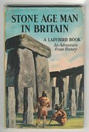 Cover for Stone Age man in Britain