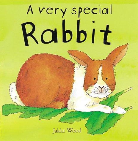 Cover for A Very Special Rabbit
