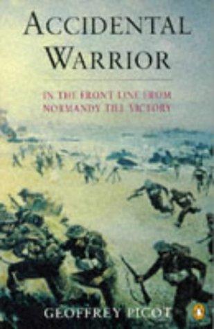 Cover for Accidental Warrior