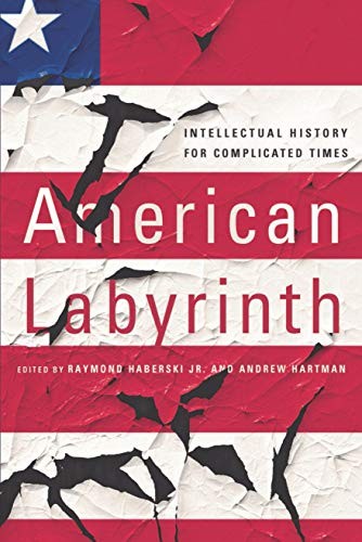 Cover for American Labyrinth