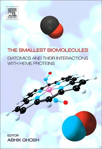 Cover for The Smallest Biomolecules