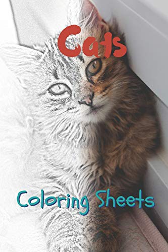 Cover for Cat Coloring Sheets