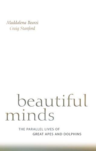 Cover for Beautiful Minds