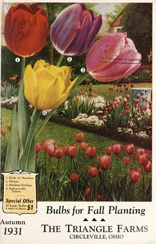 Cover for Bulbs for fall planting, autumn 1931 [catalog]
