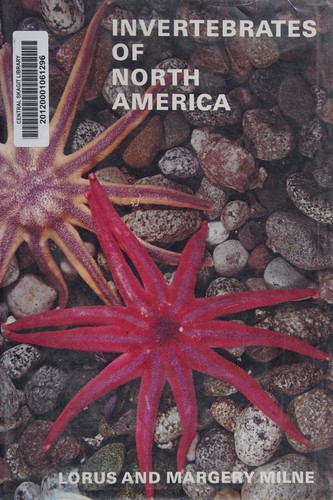 Cover for Invertebrates of North America