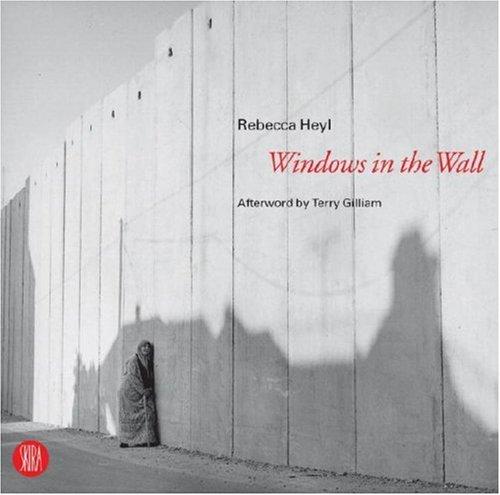 Cover for Windows in the Wall