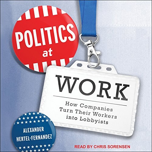 Cover for Politics at Work
